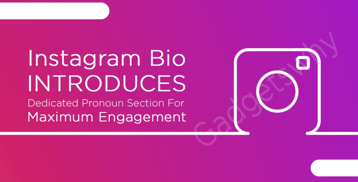 Instagram Bio Introduces Dedicated Pronoun Section