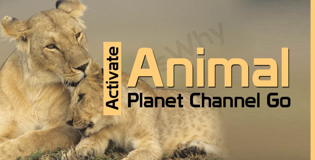Activate Animal Planet on Roku