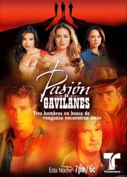Pasión de Gavilanes (2003-04)