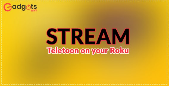Stream Teletoon on Roku