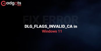 Fix Error DLG_FLAGS_INVALID_CA in Windows 11