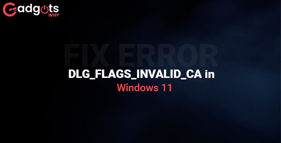 Fix Error DLG_FLAGS_INVALID_CA in Windows 11