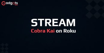 Stream Cobra Kai on Roku