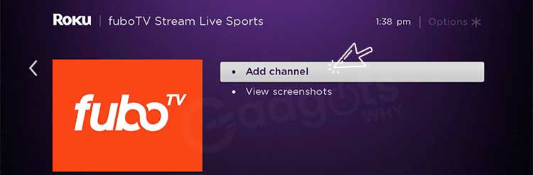 Streaming channels option