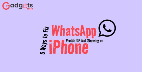 5 Ways to Fix WhatsApp Profile DP Not Showing on iPhone