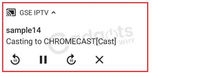 Cast