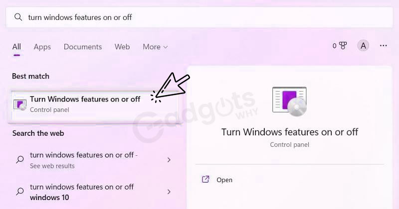switch windows features on or off