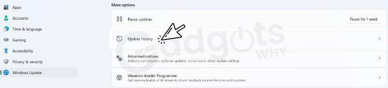 Windows Update