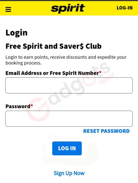 Spirit credit Card