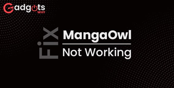 Guide to Fix Mangaowl Not Working
