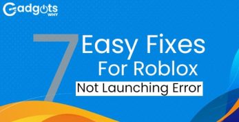 Fix Roblox is not working Errors