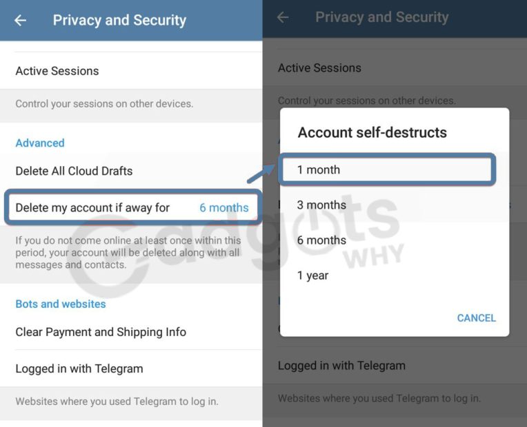 delete Telegram account