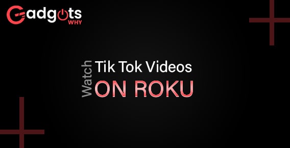 Watch Tik Tok Videos on Roku