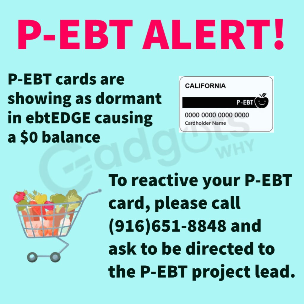 check Balance on P-EBT Card