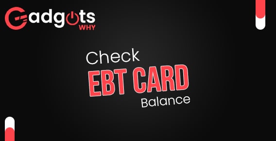Guide to Check EBT Card Balance (2022 Update)