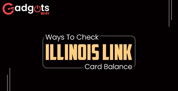 Guide to Check Illinois Link Card Balance (2022 Update)